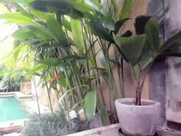 webcam girl coy_amina capture image #1392428