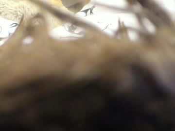 webcam girl so_sweet_poppy capture image #403296