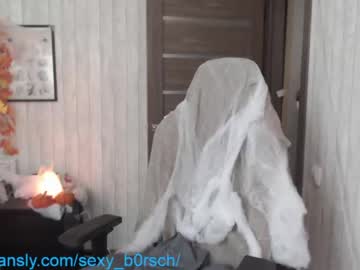 webcam girl sexy_b0rsch capture image #2878858