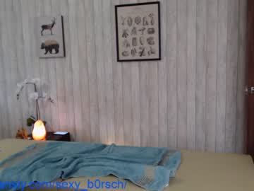 webcam girl sexy_b0rsch capture image #2152402