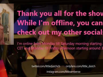 webcam girl little_dutch capture image #2407793