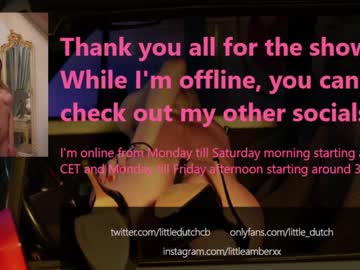 webcam girl little_dutch capture image #2713668