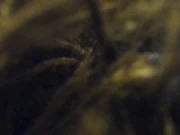 webcam girl so_sweet_poppy capture image #689875