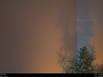 webcam girl ms_seductive capture image #2042905