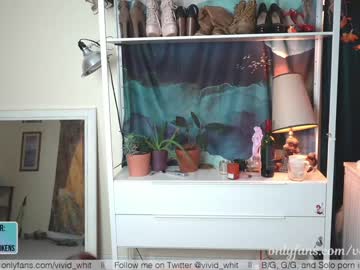 webcam girl vivid_whit capture image #3142050