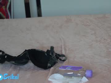 webcam girl erikabee capture image #2699629