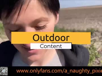 webcam couple a_naughty_pixie capture image #214885