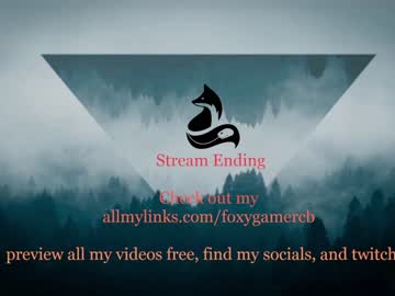 webcam girl foxy_gamer capture image #2628274
