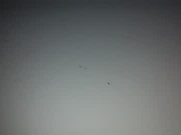 webcam man jak113cumseeme capture image #2145442
