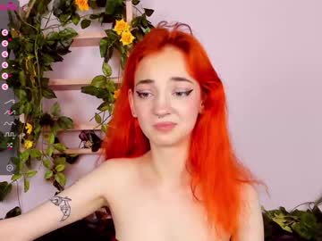 webcam girl sandraelmers capture image #2247344