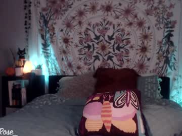 webcam girl _stella_rose_ capture image #313616