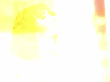 webcam girl hannahjames710 capture image #3729296