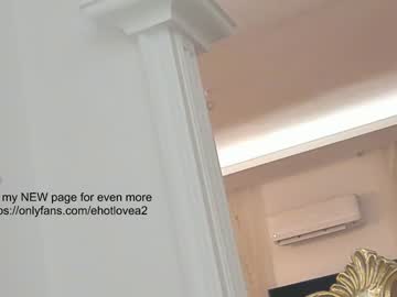 webcam girl ehotlovea capture image #3249037