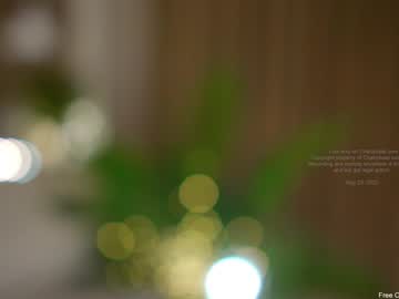 webcam girl _djad_ capture image #1885066