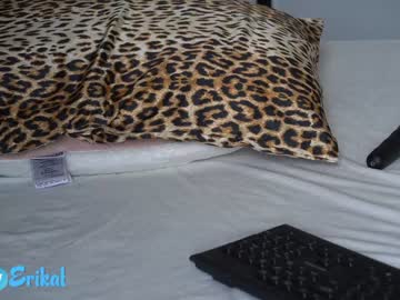 webcam girl erikabee capture image #2420370
