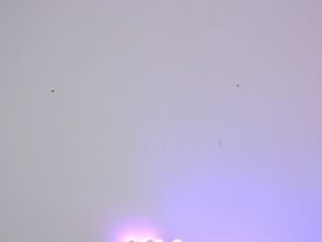 webcam girl sapphirealice capture image #1731858