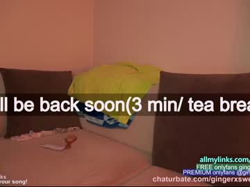 webcam girl gingerxsweetness capture image #2530276
