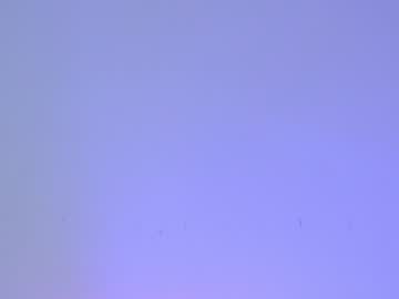 webcam girl shycinderella capture image #1018319