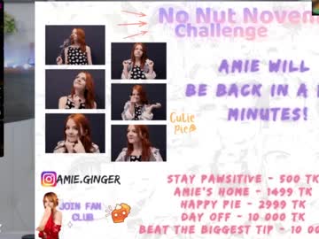 webcam girl ginger_pie capture image #455131