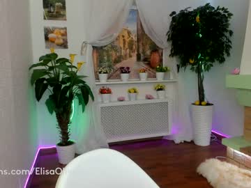 webcam girl elisa_oliver capture image #336244