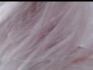 webcam girl secretgoddess0 capture image #3080383