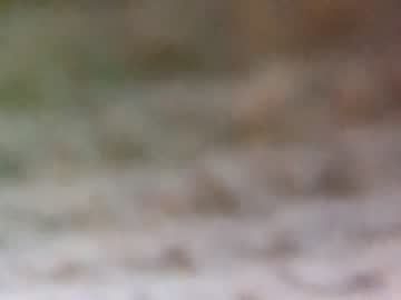 webcam man theboyjacc capture image #868838