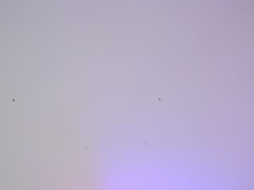 webcam girl sapphirealice capture image #1424251