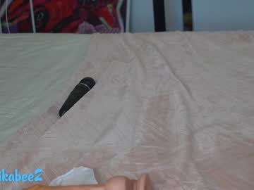 webcam girl erikabee capture image #2643192