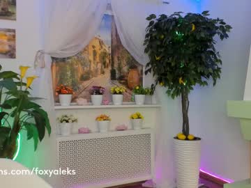 webcam girl foxy_aleks capture image #884318