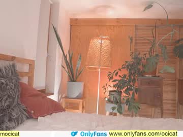 webcam girl ocicat capture image #2525938