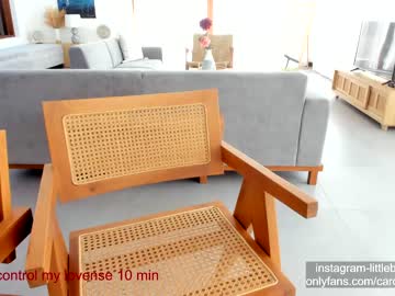 webcam girl carolinaherera capture image #2978763