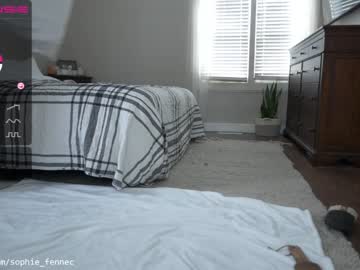 webcam girl sophie_fennec capture image #1115558