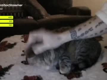 webcam man antisocialstreamer capture image #3237180