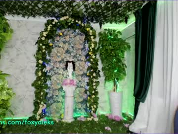 webcam girl foxy_aleks capture image #955860
