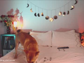 webcam girl _stella_rose_ capture image #1146538