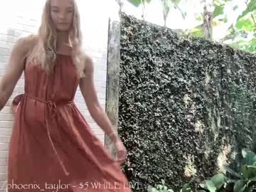 webcam girl phoenix_taylor capture image #2998199