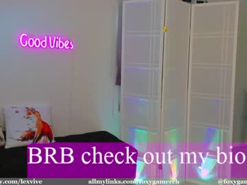 webcam girl foxy_gamer capture image #2410551