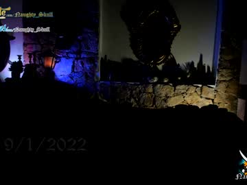 webcam girl naughty_skull capture image #2569419