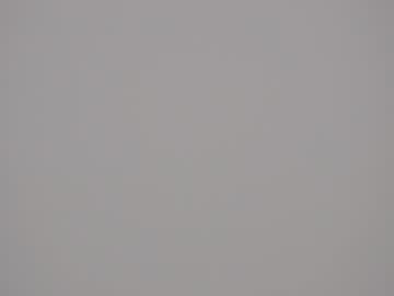 webcam girl princessasiana capture image #2358940