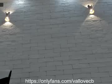 webcam girl vallovecb capture image #988811