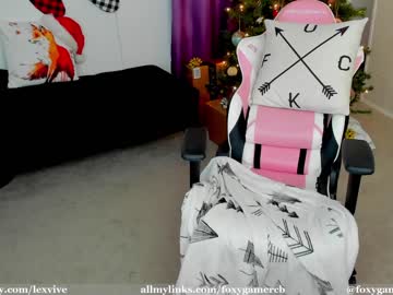 webcam girl foxy_gamer capture image #3330960