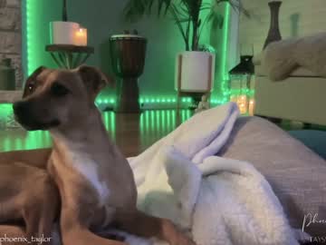 webcam girl phoenix_taylor capture image #2656005