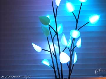 webcam girl phoenix_taylor capture image #1685828